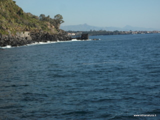 nta Maria la Scala-25-02-2013 08-49-44